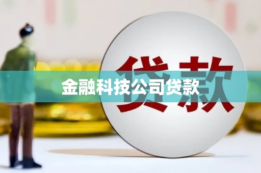 大社金融科技公司贷款