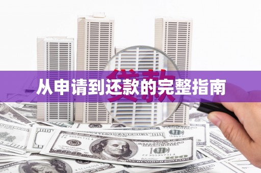 大社从申请到还款的完整指南