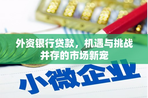 大社外资银行贷款，机遇与挑战并存的市场新宠