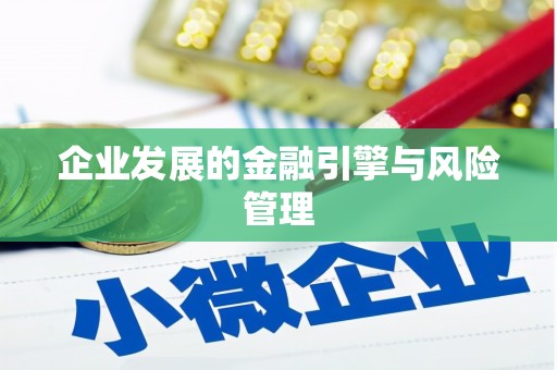 大社企业发展的金融引擎与风险管理