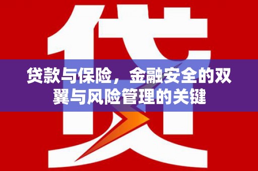 大社贷款与保险，金融安全的双翼与风险管理的关键
