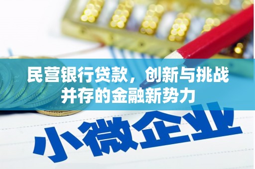 大社民营银行贷款，创新与挑战并存的金融新势力