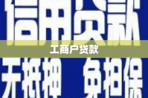 大社工商户贷款
