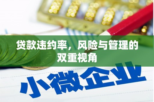大社贷款违约率，风险与管理的双重视角