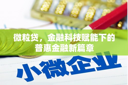 大社微粒贷，金融科技赋能下的普惠金融新篇章