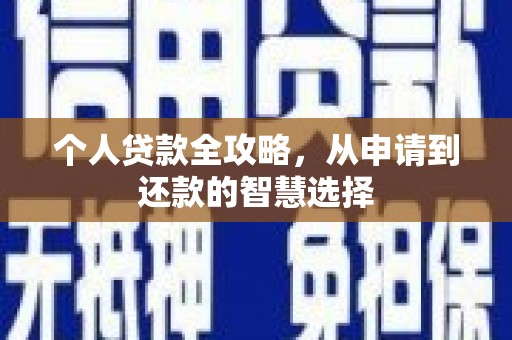 大社个人贷款全攻略，从申请到还款的智慧选择