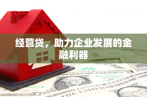 大社经营贷，助力企业发展的金融利器