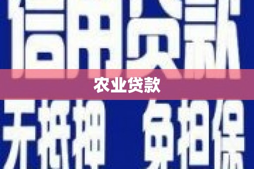 大社农业贷款