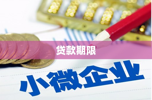 大社贷款期限