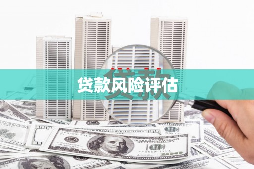 大社贷款风险评估