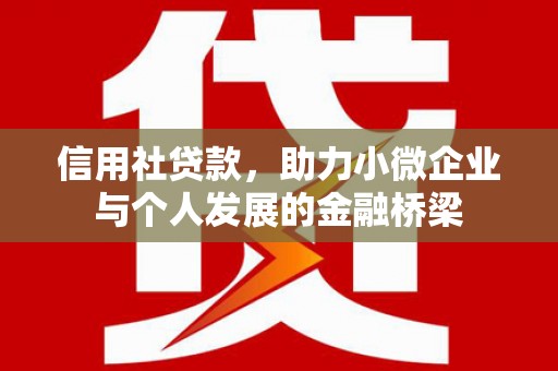 大社信用社贷款，助力小微企业与个人发展的金融桥梁