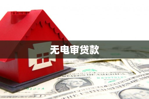 大社无电审贷款