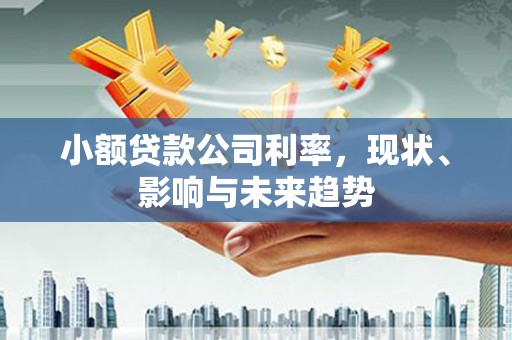 大社小额贷款公司利率，现状、影响与未来趋势
