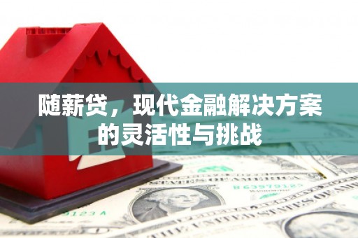 大社随薪贷，现代金融解决方案的灵活性与挑战