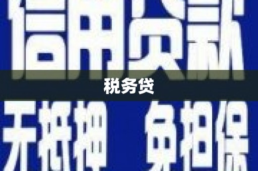 大社税务贷