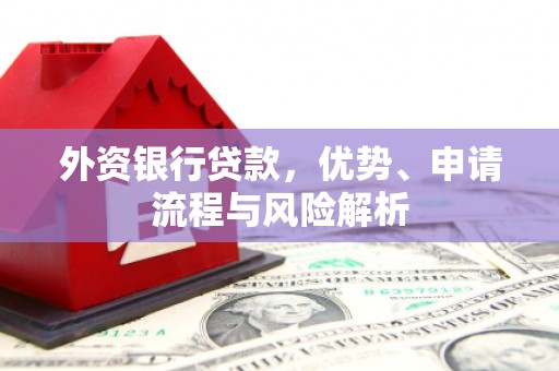大社外资银行贷款，优势、申请流程与风险解析