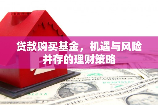 大社贷款购买基金，机遇与风险并存的理财策略