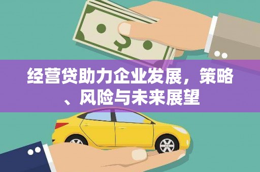 大社经营贷助力企业发展，策略、风险与未来展望