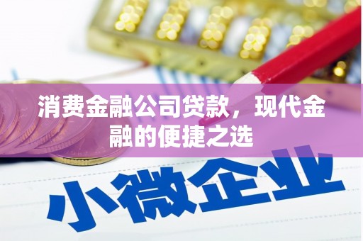 大社消费金融公司贷款，现代金融的便捷之选