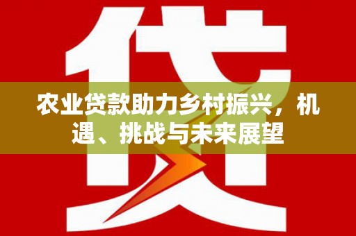 大社农业贷款助力乡村振兴，机遇、挑战与未来展望