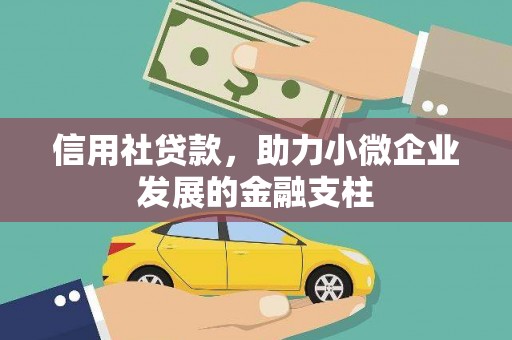 大社信用社贷款，助力小微企业发展的金融支柱