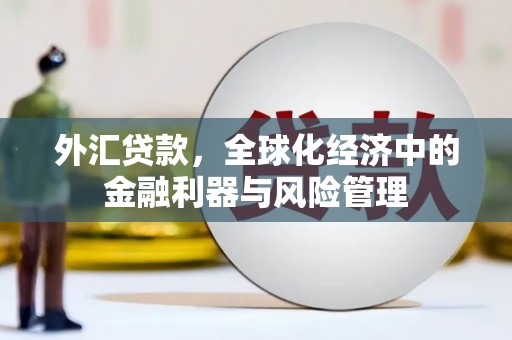 大社外汇贷款，全球化经济中的金融利器与风险管理