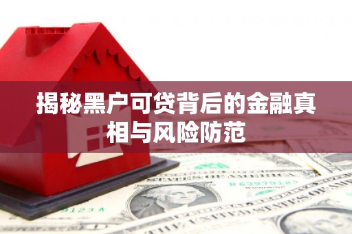 大社揭秘黑户可贷背后的金融真相与风险防范