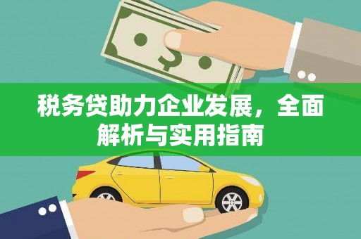 大社税务贷助力企业发展，全面解析与实用指南