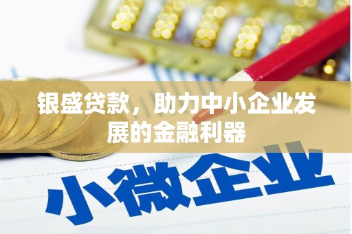 大社银盛贷款，助力中小企业发展的金融利器