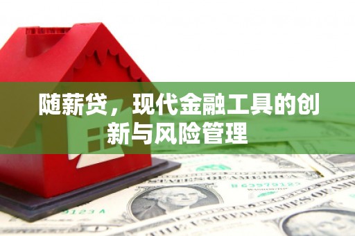 大社随薪贷，现代金融工具的创新与风险管理