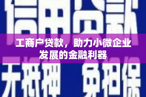 大社工商户贷款，助力小微企业发展的金融利器