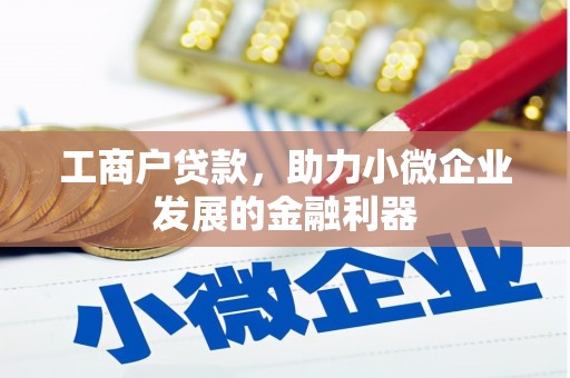 大社工商户贷款，助力小微企业发展的金融利器
