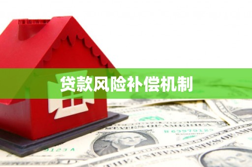 大社贷款风险补偿机制