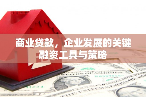 大社商业贷款，企业发展的关键融资工具与策略