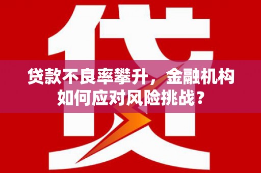 大社贷款不良率攀升，金融机构如何应对风险挑战？