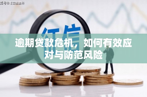 大社逾期贷款危机，如何有效应对与防范风险