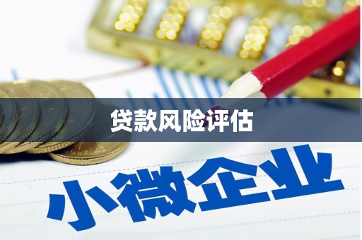 大社贷款风险评估
