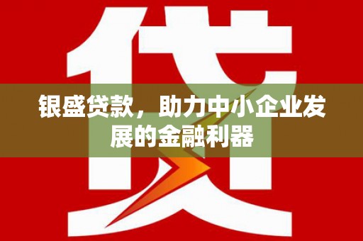 大社银盛贷款，助力中小企业发展的金融利器