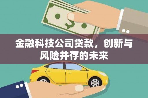 大社金融科技公司贷款，创新与风险并存的未来