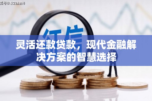 大社灵活还款贷款，现代金融解决方案的智慧选择
