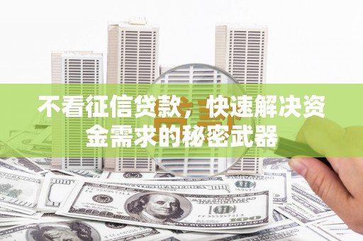 大社不看征信贷款，快速解决资金需求的秘密武器