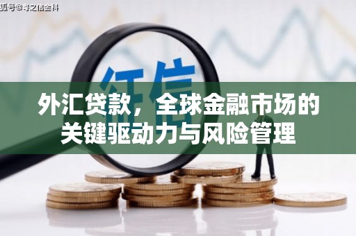 大社外汇贷款，全球金融市场的关键驱动力与风险管理