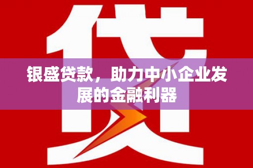 大社银盛贷款，助力中小企业发展的金融利器