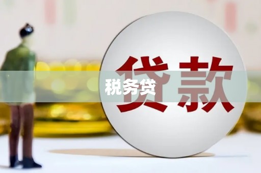 大社税务贷