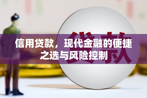大社信用贷款，现代金融的便捷之选与风险控制