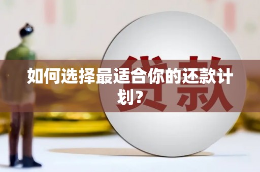 大社如何选择最适合你的还款计划？