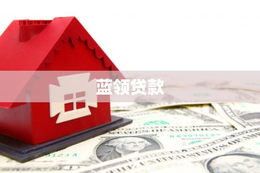大社蓝领贷款