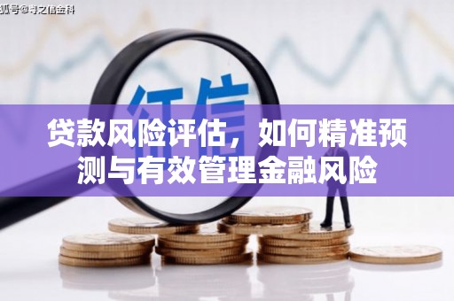 大社贷款风险评估，如何精准预测与有效管理金融风险
