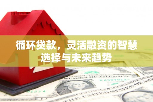 大社循环贷款，灵活融资的智慧选择与未来趋势