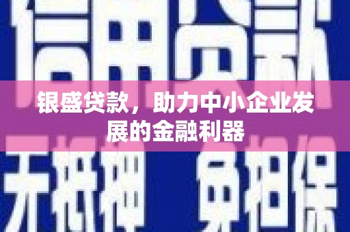 大社银盛贷款，助力中小企业发展的金融利器